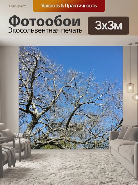Фотообои Деревья