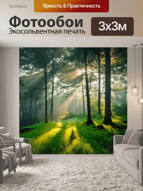 Фотообои утренний туман, лучи солнечного света пробиваются сквозь кроны деревьев, зелёная трава покрыта росой