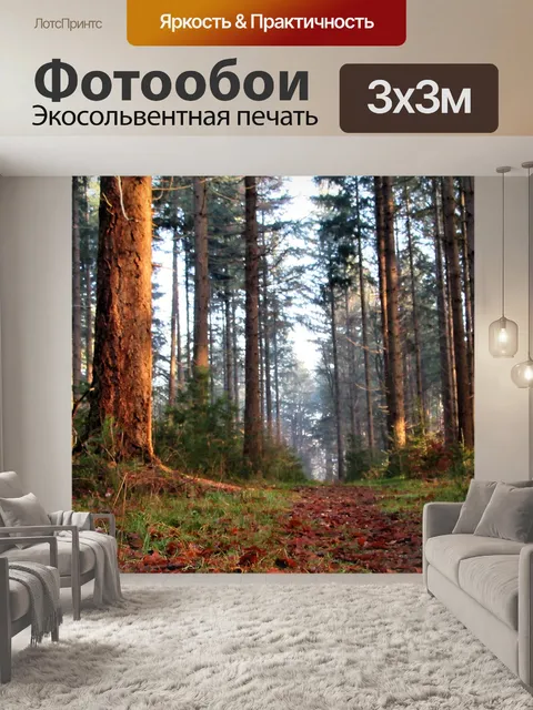 Фотообои Путь