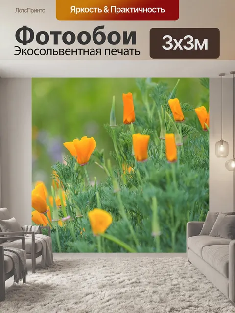 Фотообои Мак