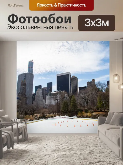 Фотообои Каток в Центральном парке