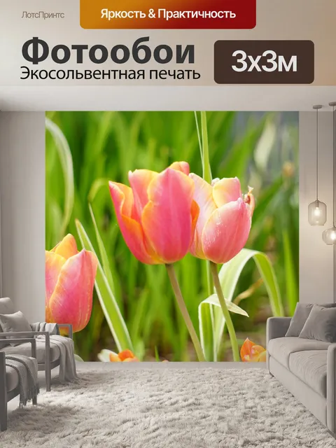 Фотообои Оранжевые тюльпаны