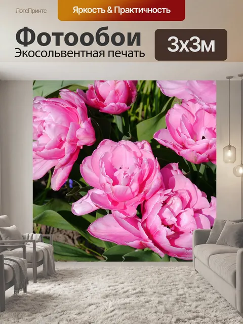 Фотообои Тюльпаны