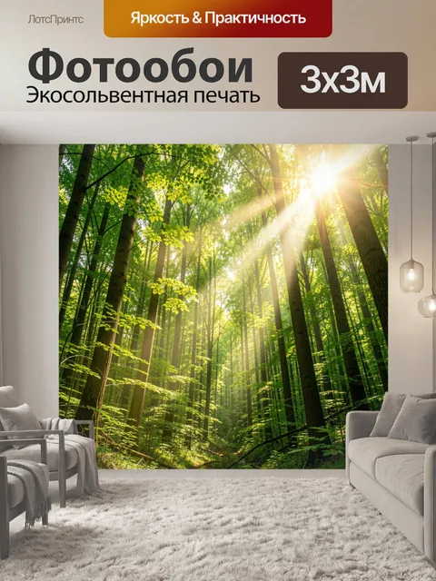 Фотообои Солнечный лес с высокими деревьями