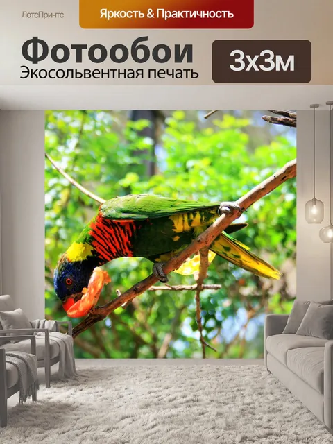 Фотообои зеленый napęd Лорикет едят фрукты