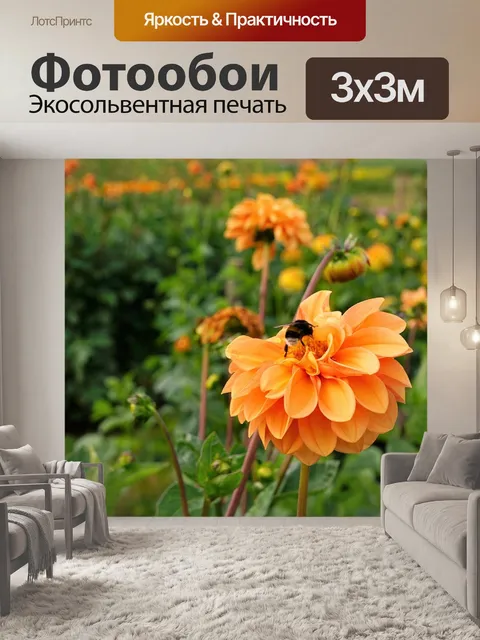 Фотообои Луг
