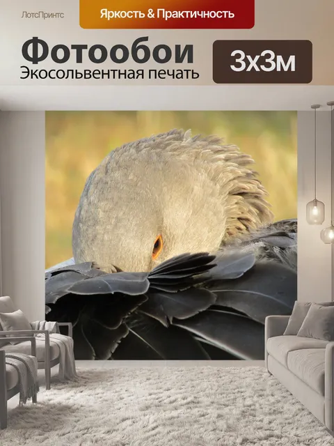 Фотообои Гусь