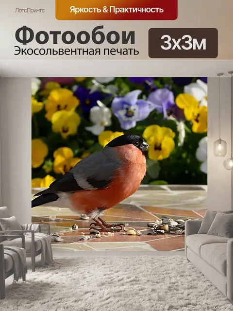 Фотообои Птица