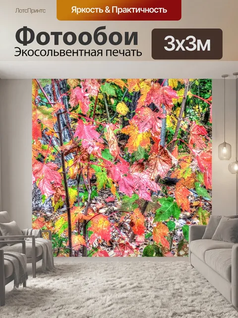 Фотообои Осенний лист фона