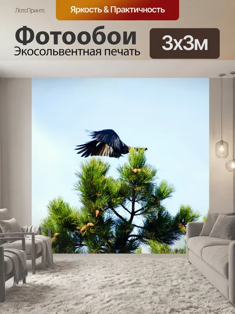 Фотообои летящей птицы