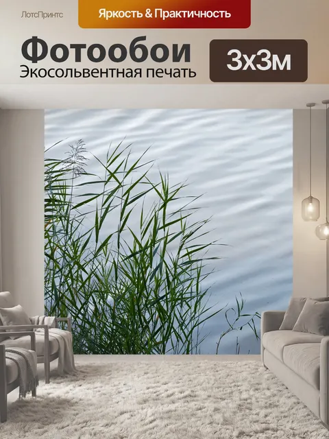 Фотообои Камыши