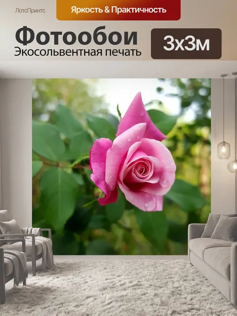 Фотообои Цветок