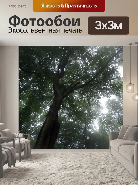 Фотообои Дерево