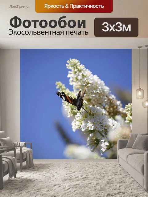 Фотообои Бабочка