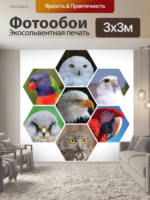 Фотообои Птицы