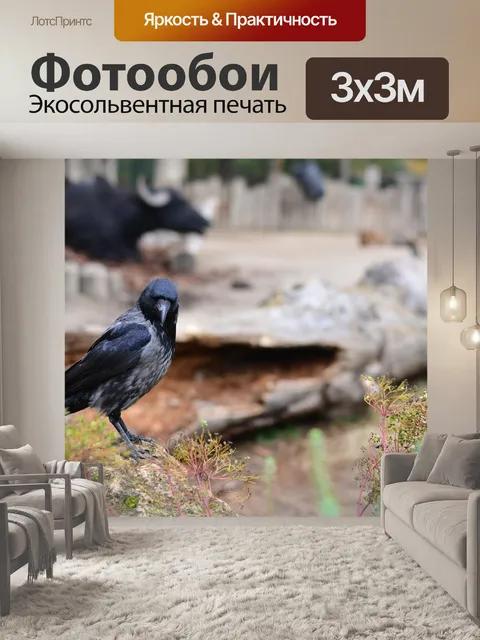 Фотообои Птица