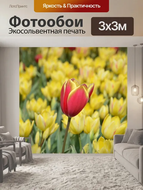 Фотообои Тюльпаны