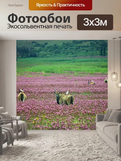 Фотообои белая цапля