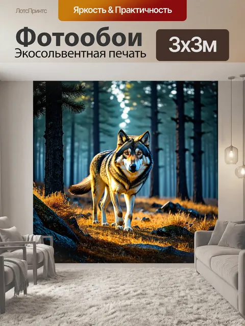 Фотообои охота: в хвойных лесах, где волки вылияют отгулы в темноте и обилие медленных теней