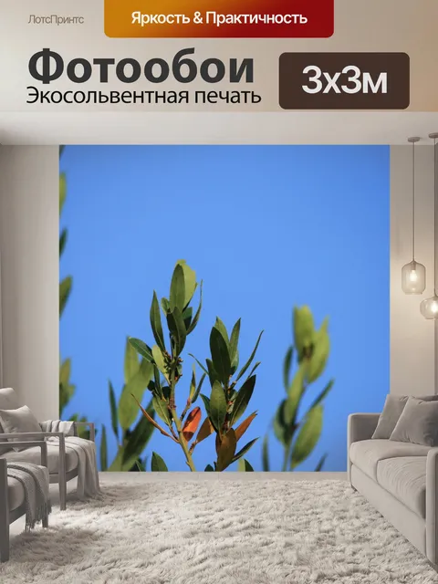 Фотообои лавровый лист на синем небе