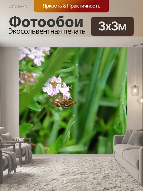 Фотообои Бабочка