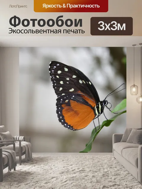 Фотообои Животные