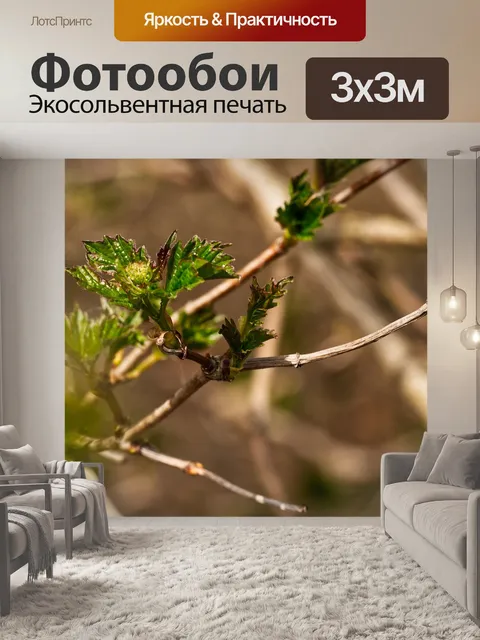 Фотообои Листья