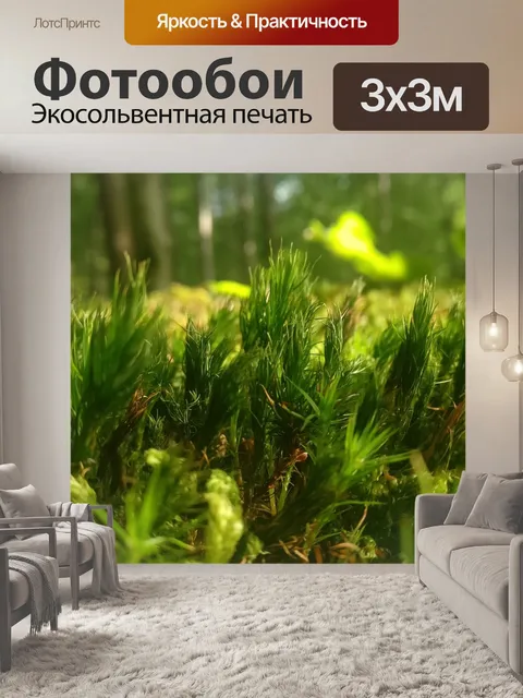 Фотообои Мох