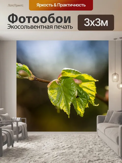 Фотообои Новые листья