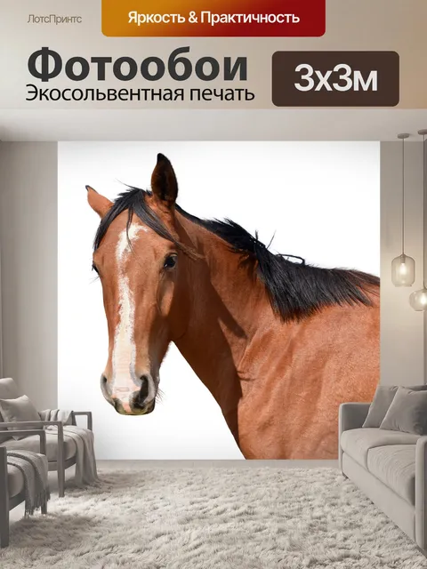 Фотообои Лошадь