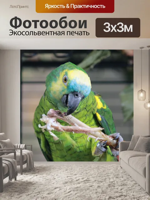 Фотообои Попугай