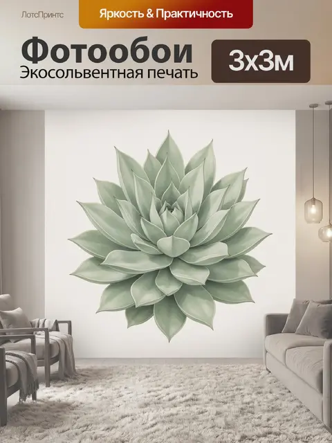 Фотообои Суккулент эхеверия акварельная