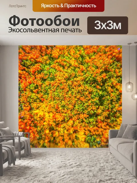 Фотообои светлый фон с яркими и насыщенными цветами