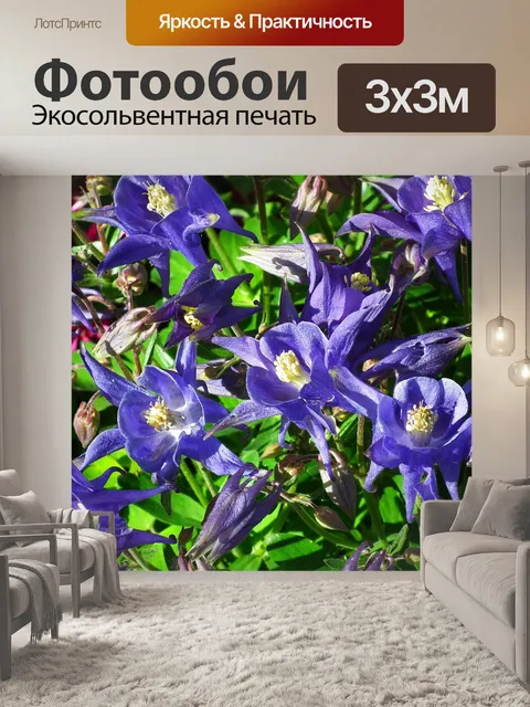 Фотообои Цветы