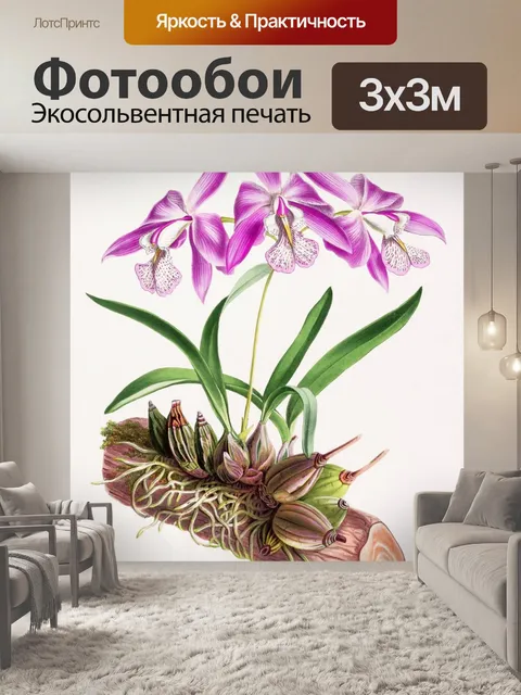 Фотообои Цветок орхидеи цветок искусство