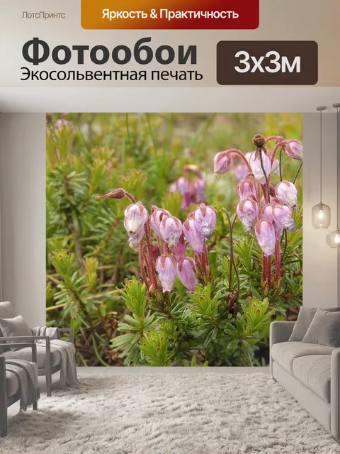 Фотообои Цветы