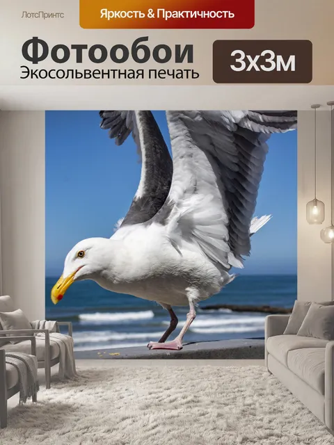 Фотообои чайка