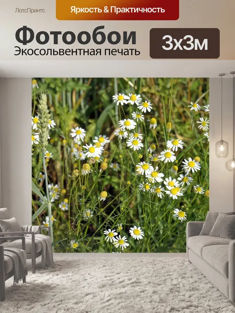 Фотообои Цветы