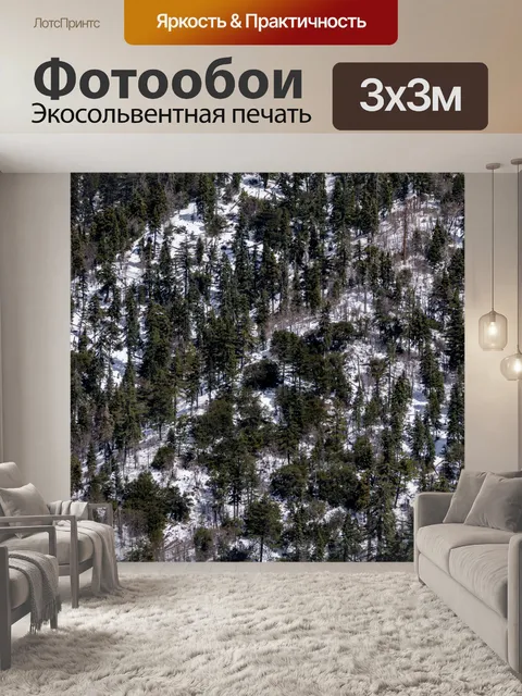 Фотообои Снежная гора, покрытая соснами