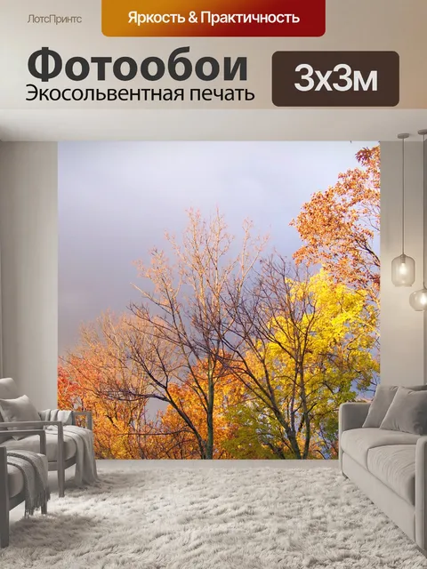 Фотообои Осенние деревья и угрожая Облачность