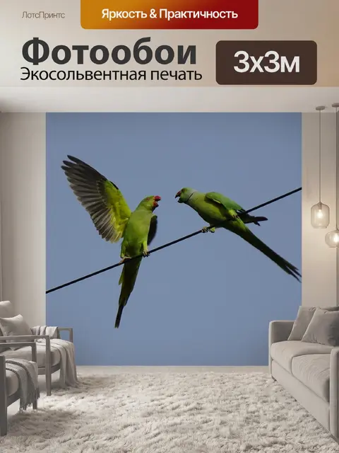 Фотообои Птица