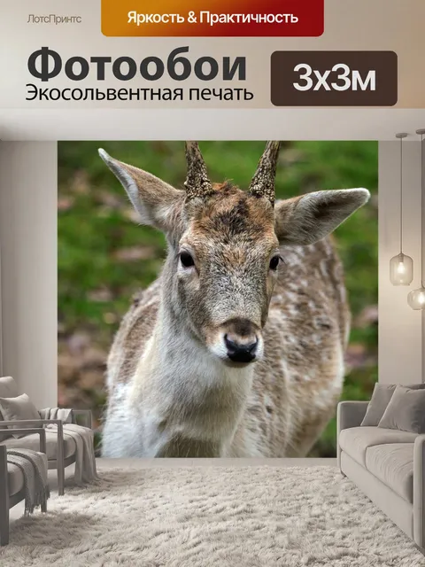 Фотообои Олень