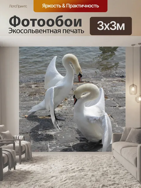 Фотообои Лебеди