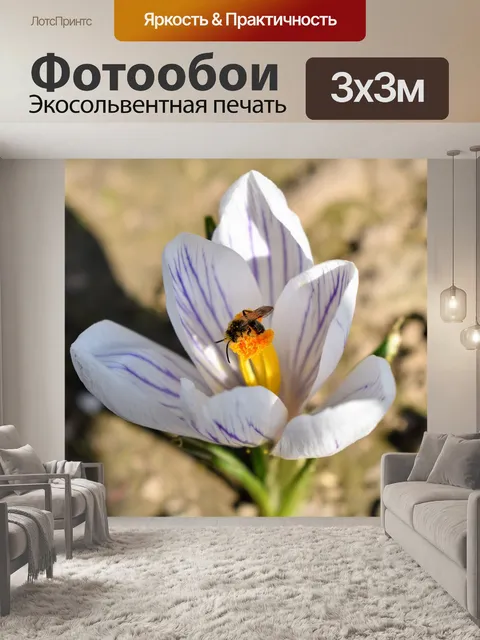 Фотообои Цветы