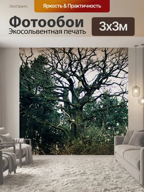 Фотообои Дерево