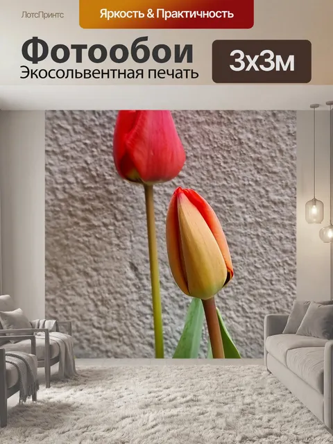 Фотообои Тюльпаны
