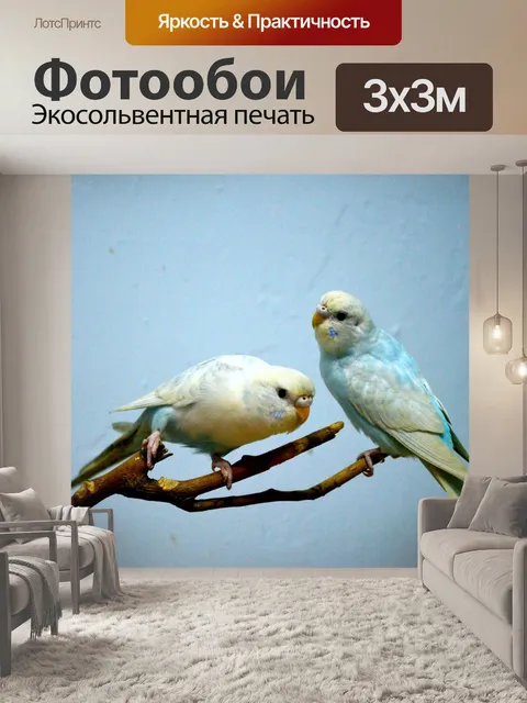 Фотообои Два Попугаи