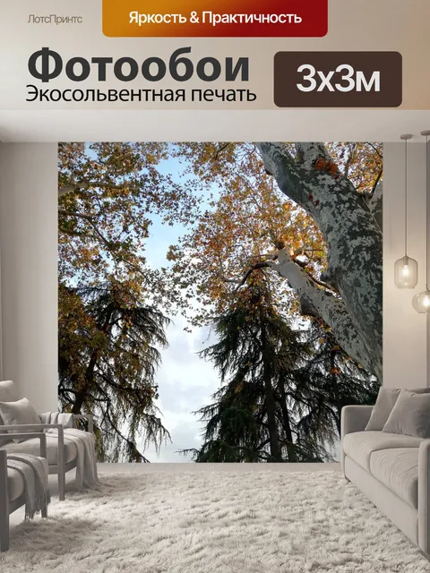 Фотообои Дерево