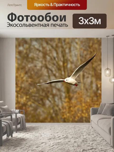 Фотообои Птицы
