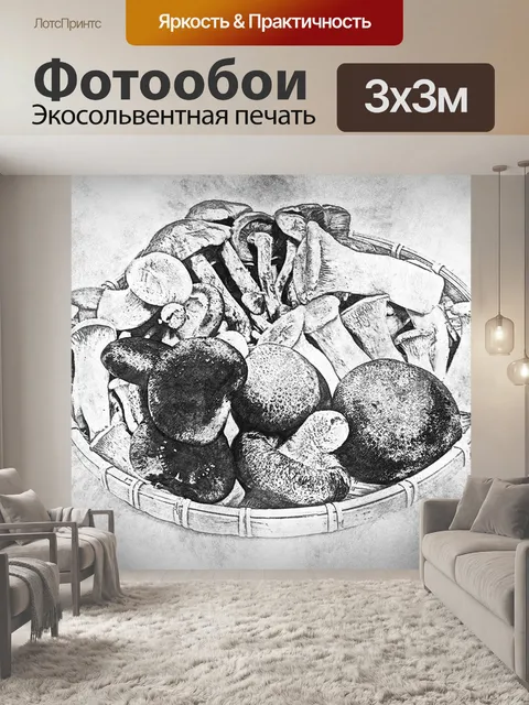 Фотообои Гриб